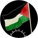 Ahmed Hamdy profile picture